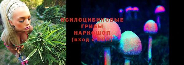 сатива Карталы