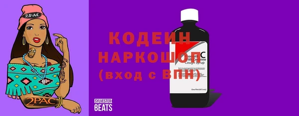 мдпв Каменногорск