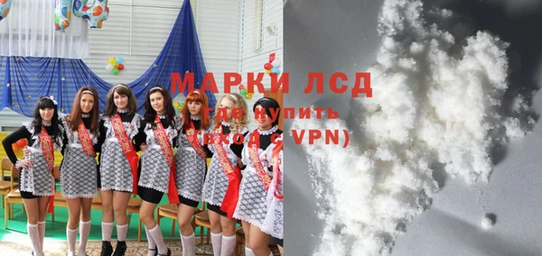 мяу мяу мука Инсар