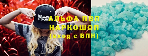мдпв Каменногорск