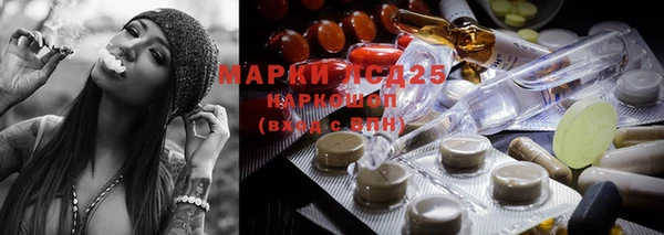 мдпв Каменногорск