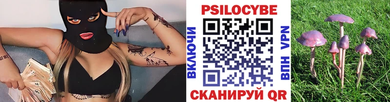 Купить  Починок  Галлюциногенные грибы мицелий 