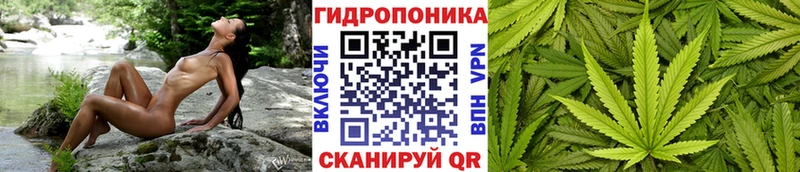 Купить где  Починок  МАРИХУАНА план 